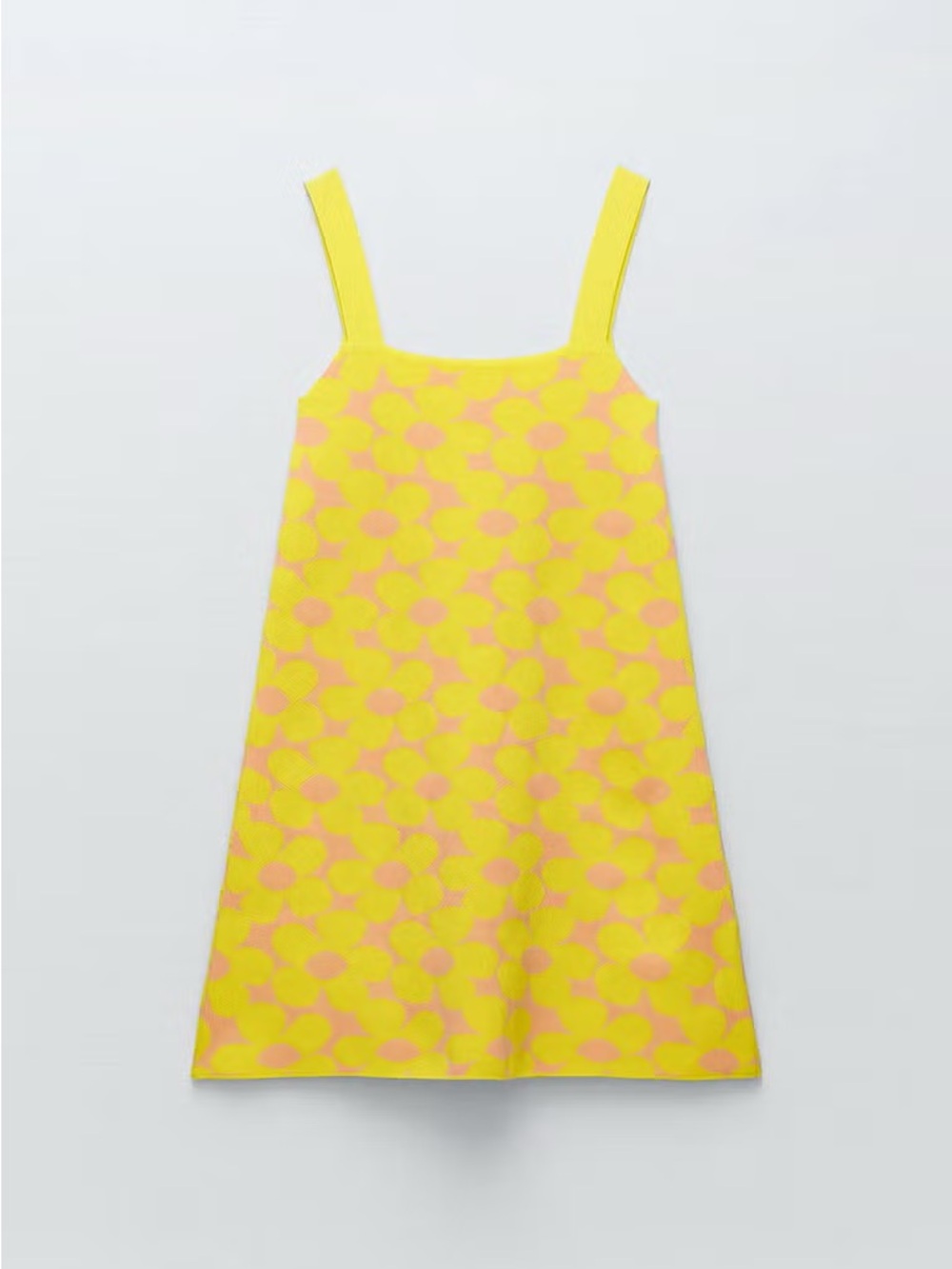 Zara A-Line Floral Mini Dress EUC